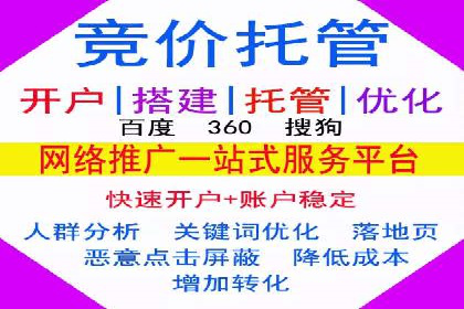 SEM服务托管实战案例：数据驱动营销